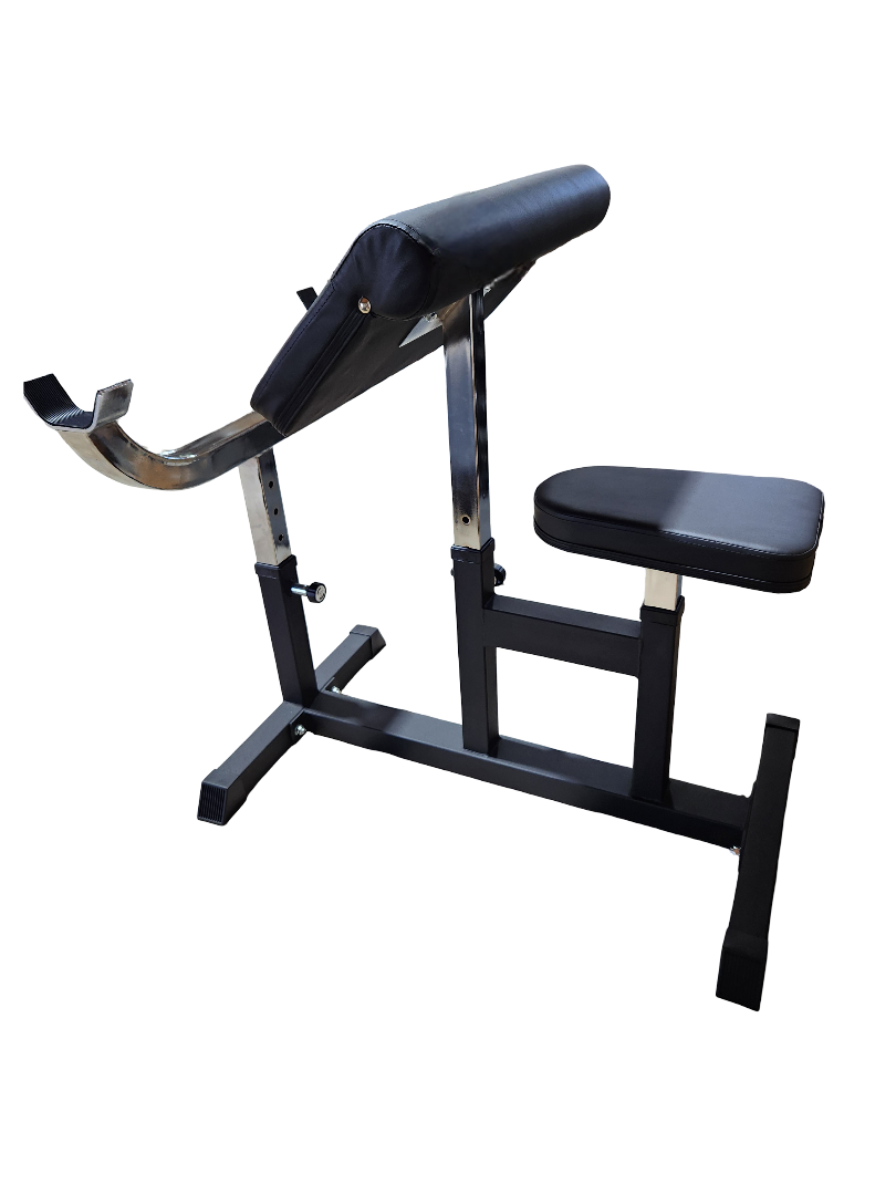 Bench preacher curl vu de dos. L'outil parfait pour attaquer les biceps.