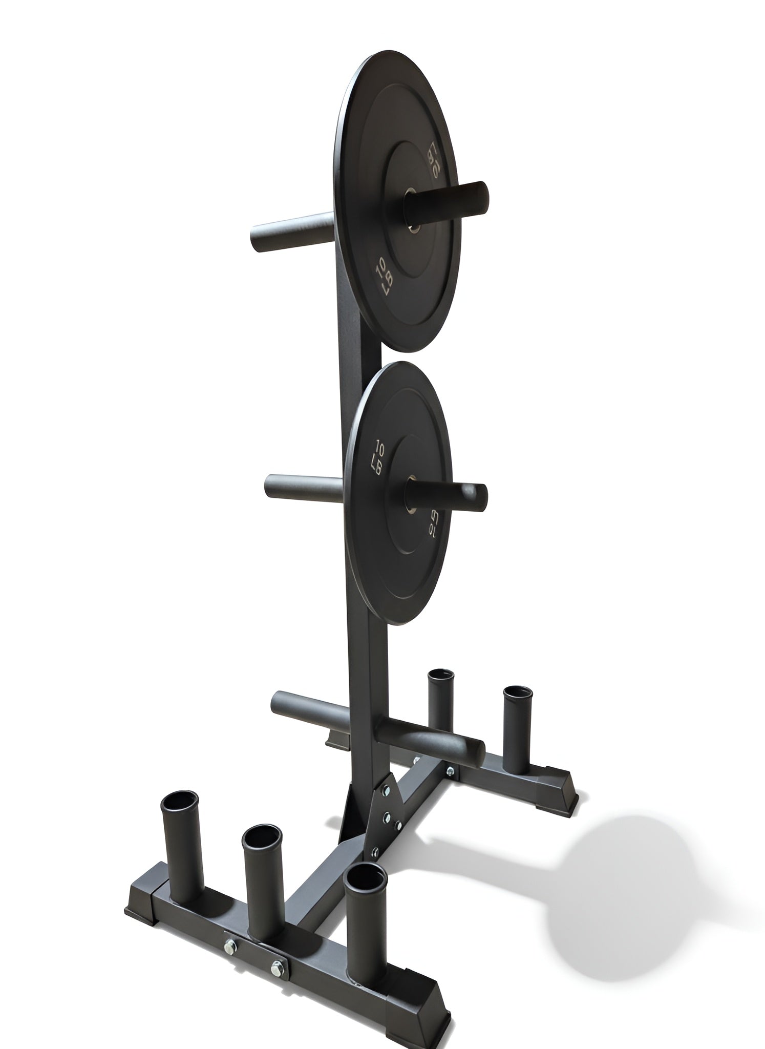 Vue du support chargé, montrant la compatibilité avec les bumper plates.