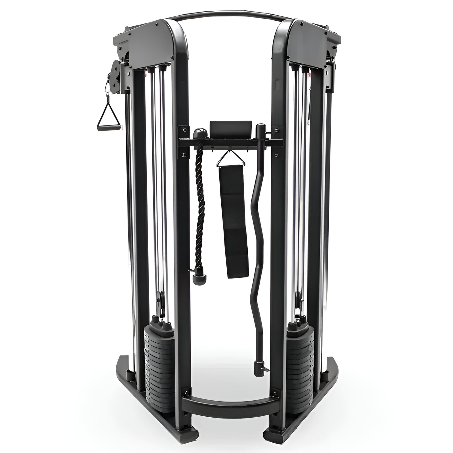 Double colonne de poids 165 lb avec tiges de guidage solides sur Inspire FTX
