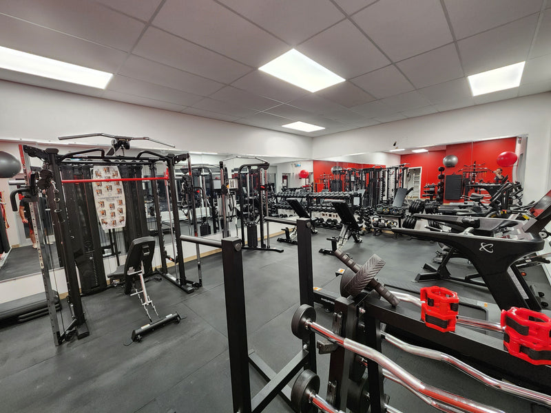 Réalisation d'un projet de gym du collège Kiuna à Odanak. De la conception à la réalisation.