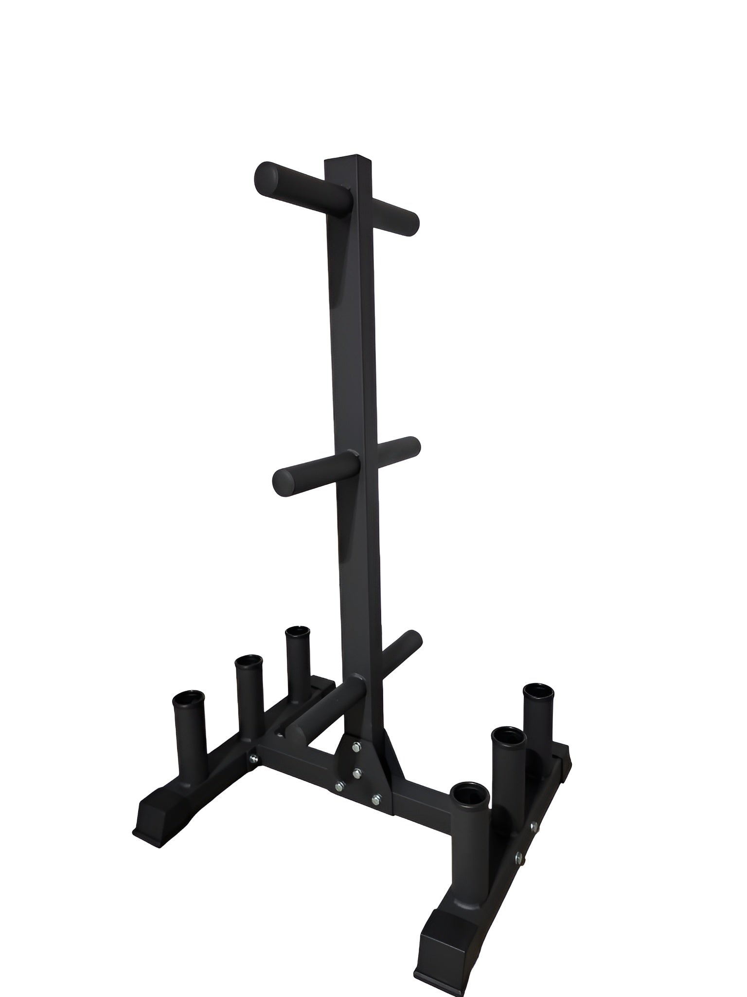 Support Deluxe à plaques olympiques avec 6 rangements de barres et bras de stockage pour disques de 2 pouces.